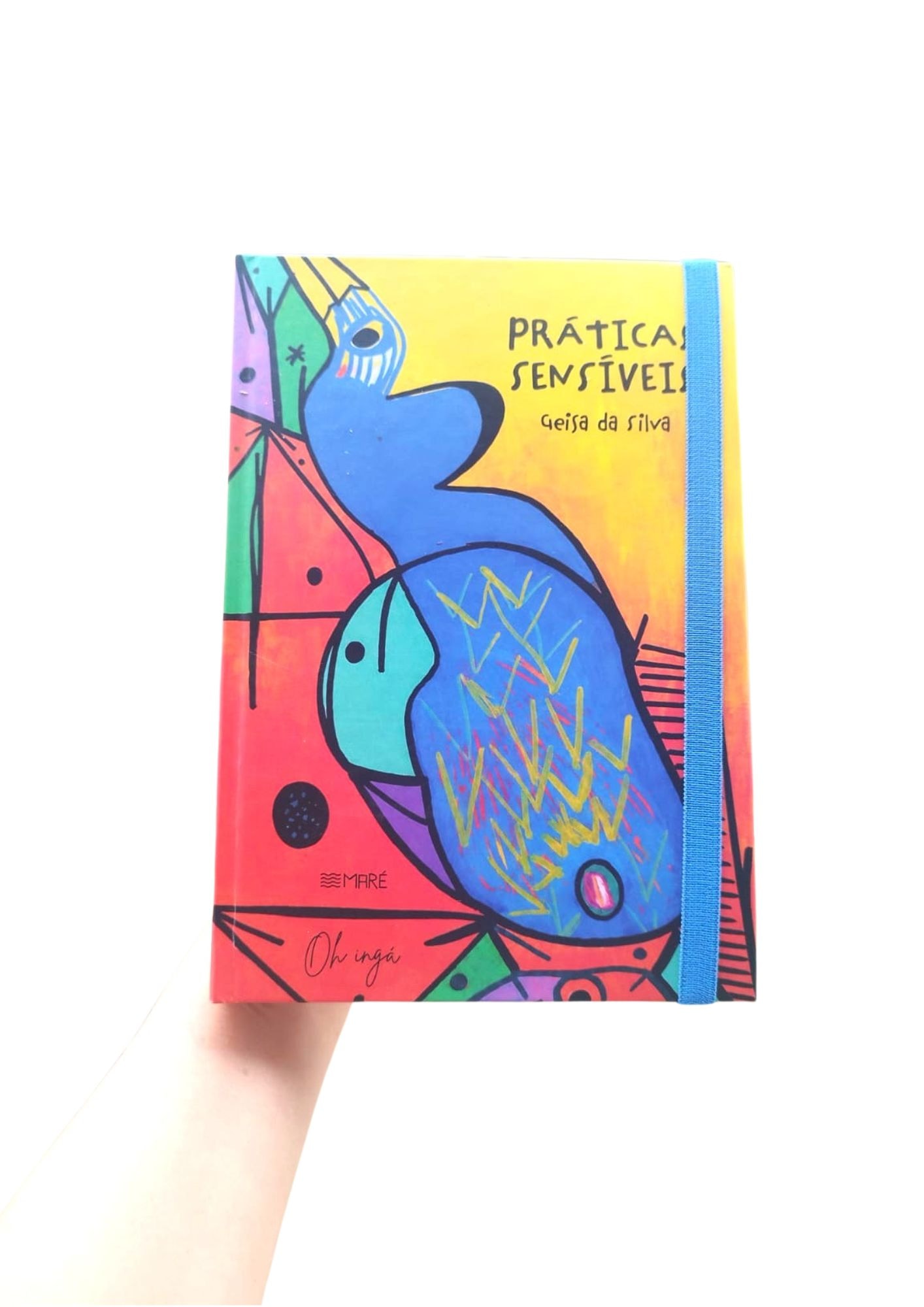 Livro "Práticas sensíveis"